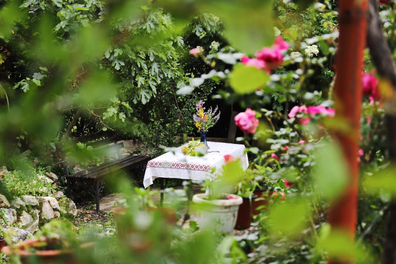Hotel Kamp Seosko Domacinstvo Radman à Herceg Novi Extérieur photo