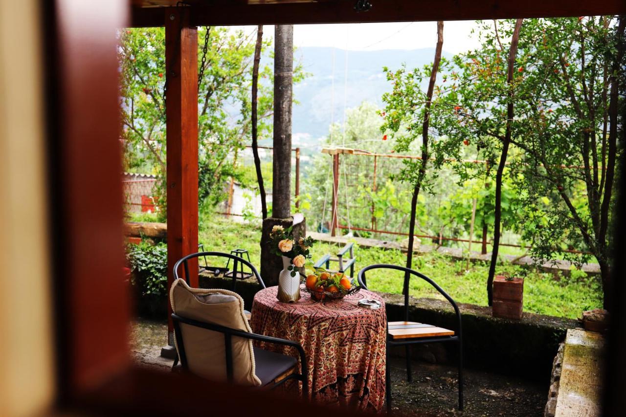 Hotel Kamp Seosko Domacinstvo Radman à Herceg Novi Extérieur photo