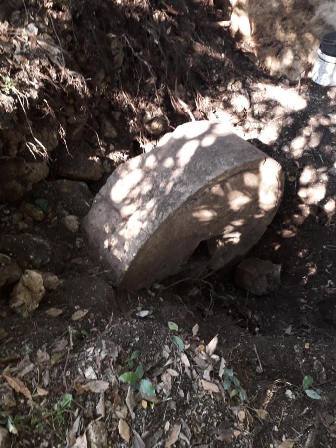Hotel Kamp Seosko Domacinstvo Radman à Herceg Novi Extérieur photo