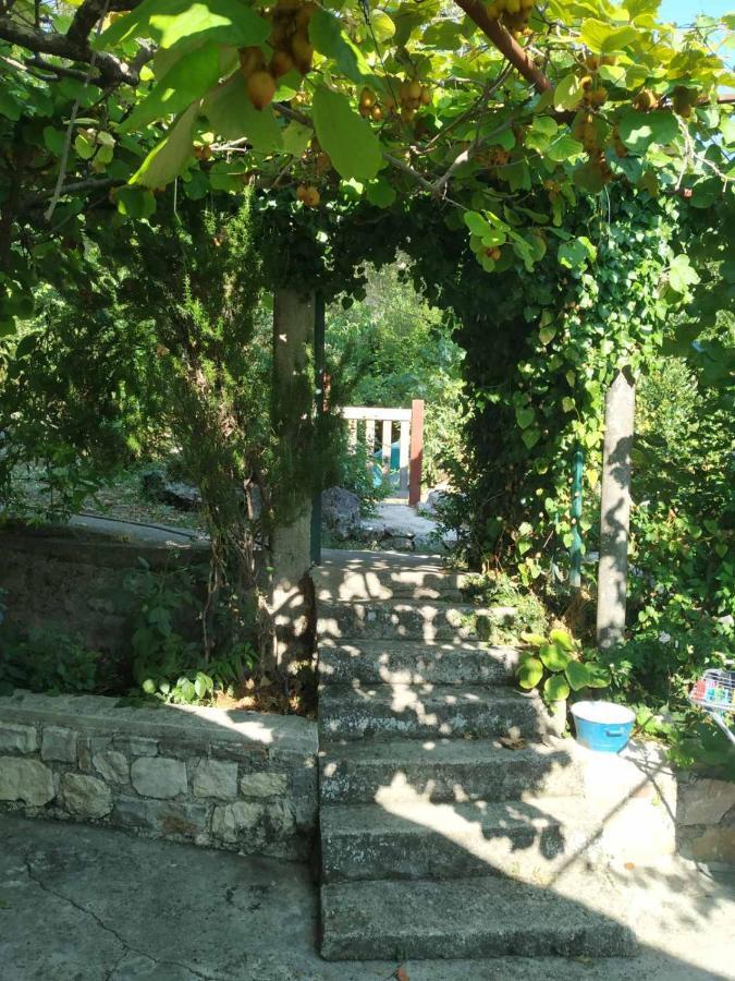 Hotel Kamp Seosko Domacinstvo Radman à Herceg Novi Extérieur photo