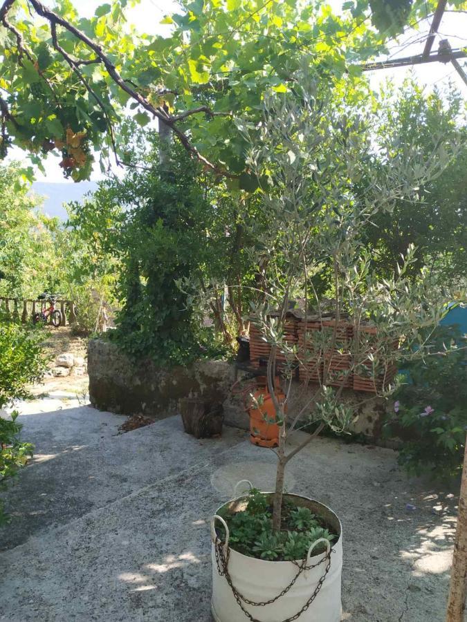 Hotel Kamp Seosko Domacinstvo Radman à Herceg Novi Extérieur photo