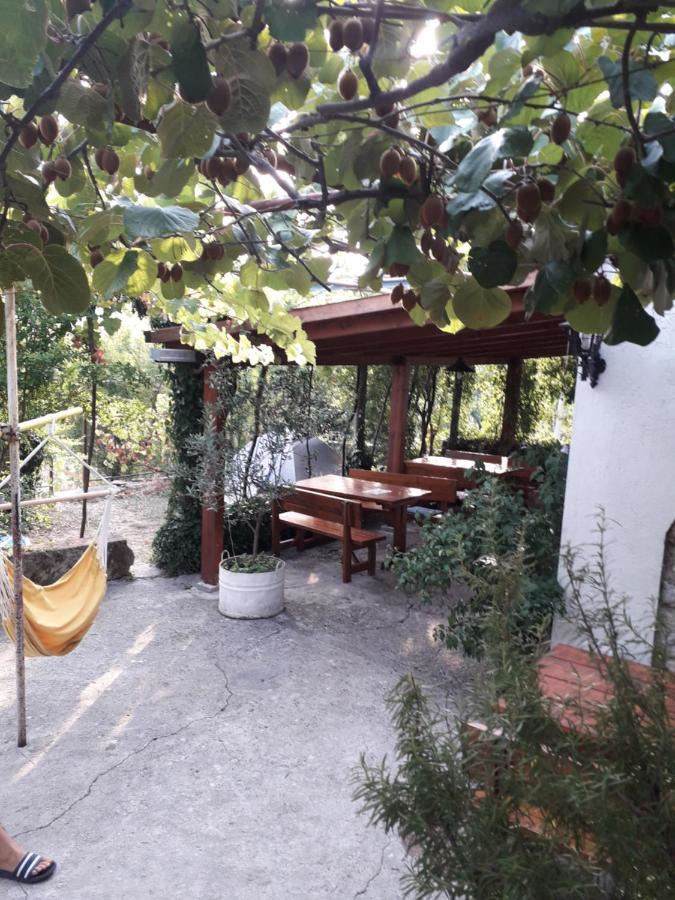 Hotel Kamp Seosko Domacinstvo Radman à Herceg Novi Extérieur photo