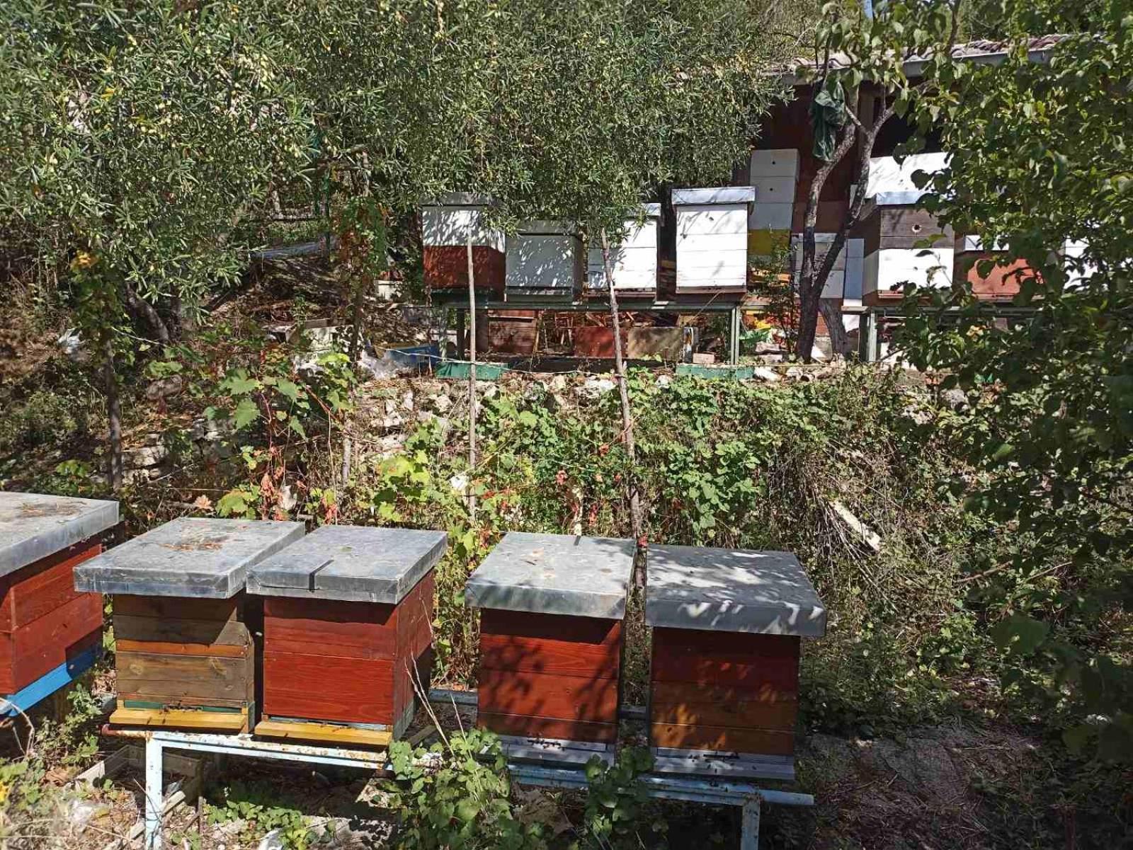 Hotel Kamp Seosko Domacinstvo Radman à Herceg Novi Extérieur photo