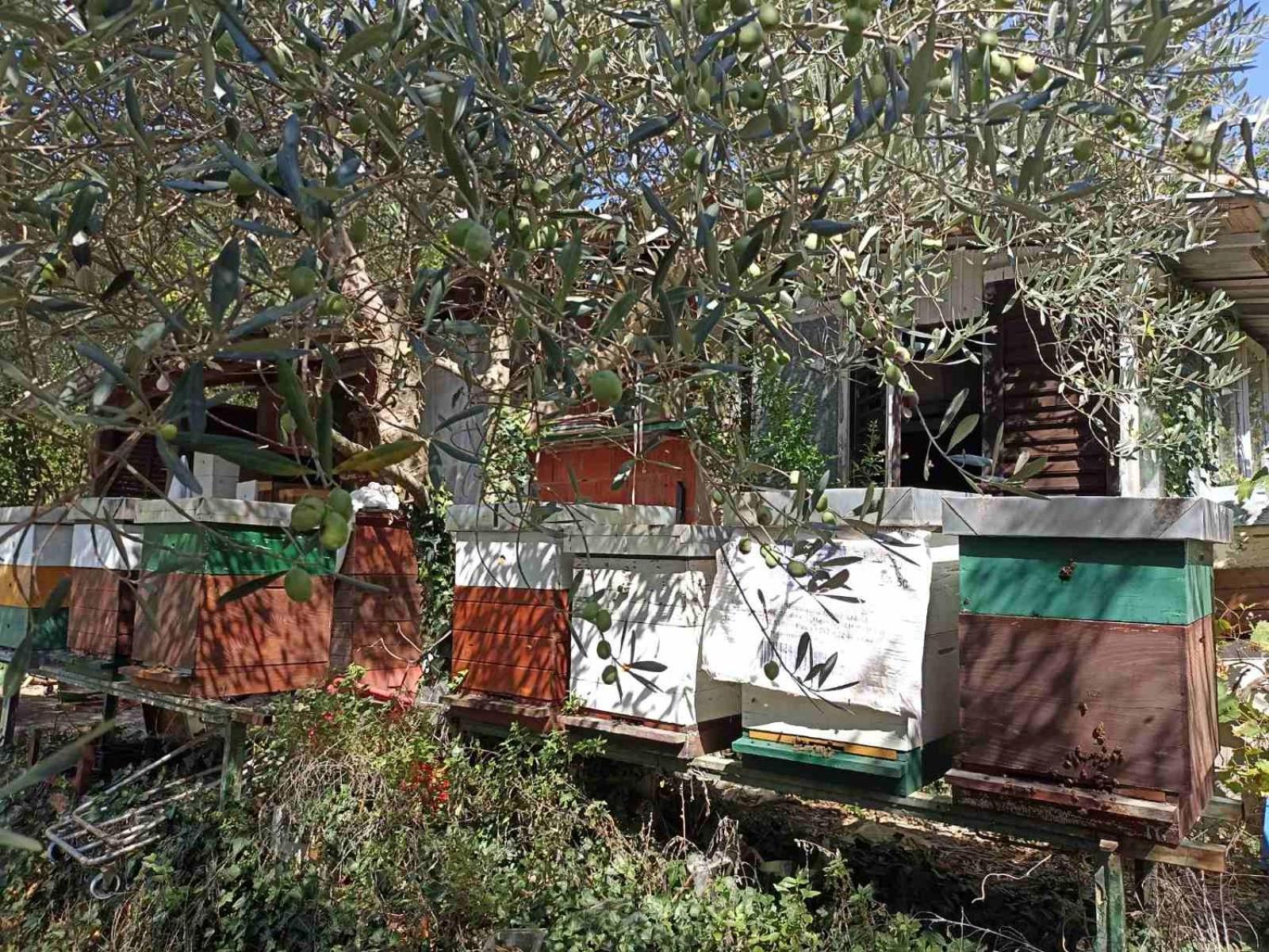 Hotel Kamp Seosko Domacinstvo Radman à Herceg Novi Extérieur photo