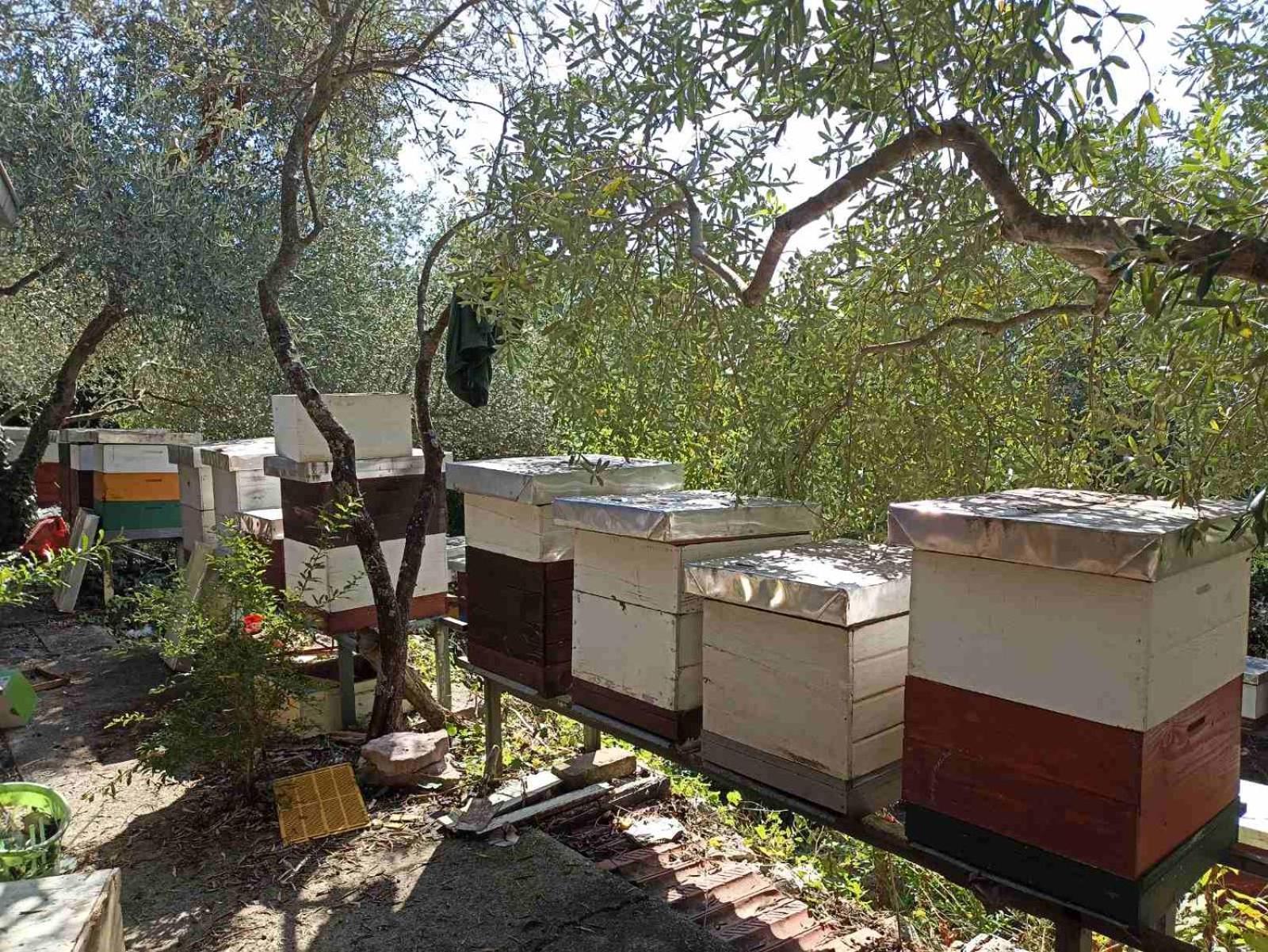 Hotel Kamp Seosko Domacinstvo Radman à Herceg Novi Extérieur photo